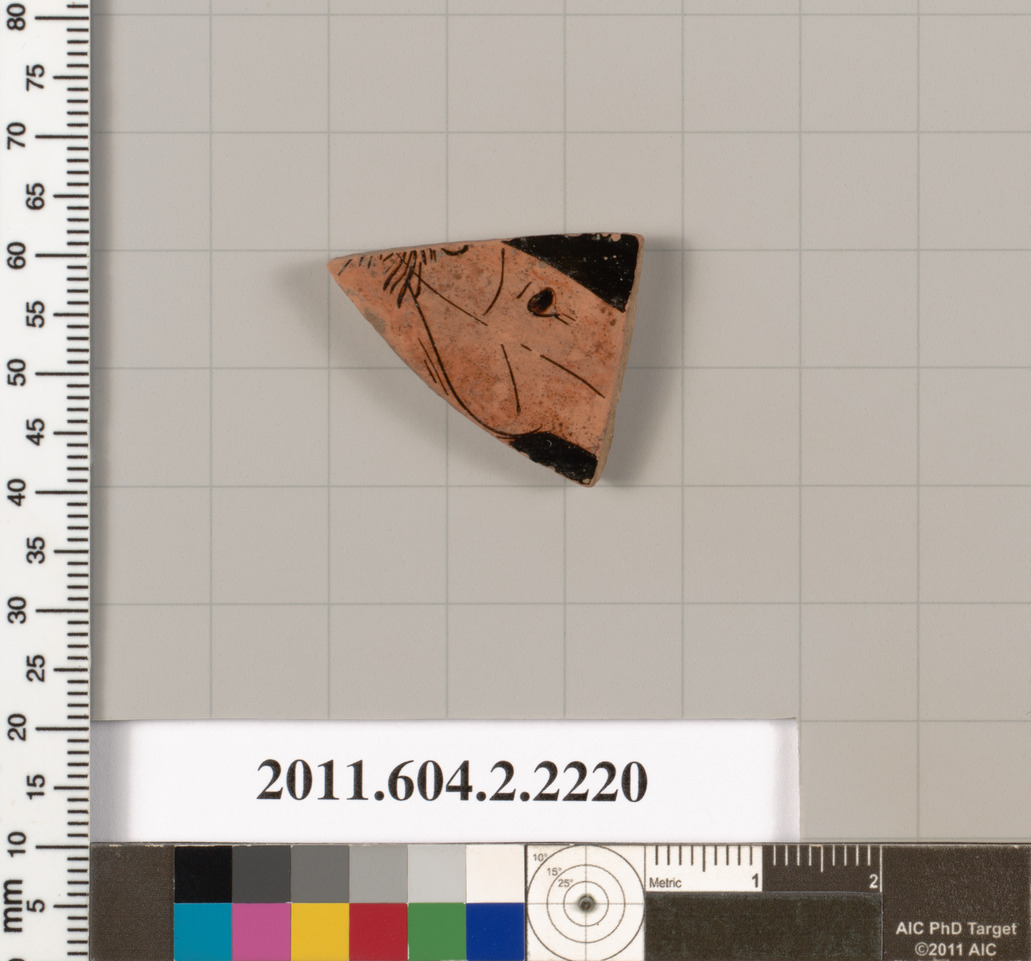 Ancient Painted Pottery Shard