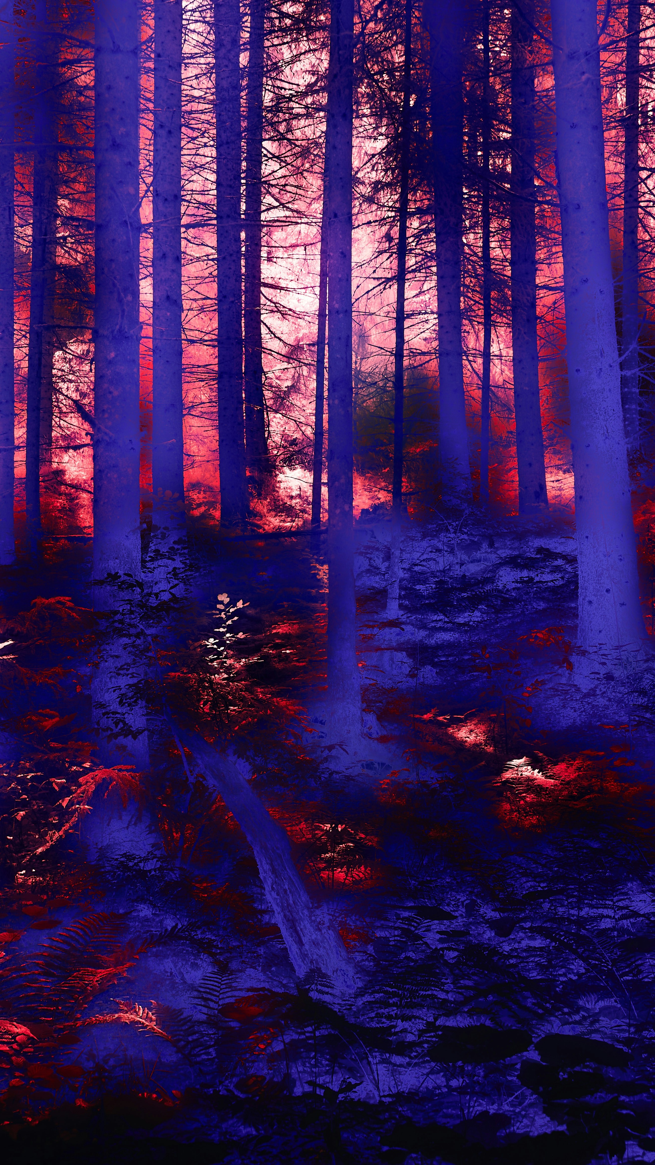 Wallpapers