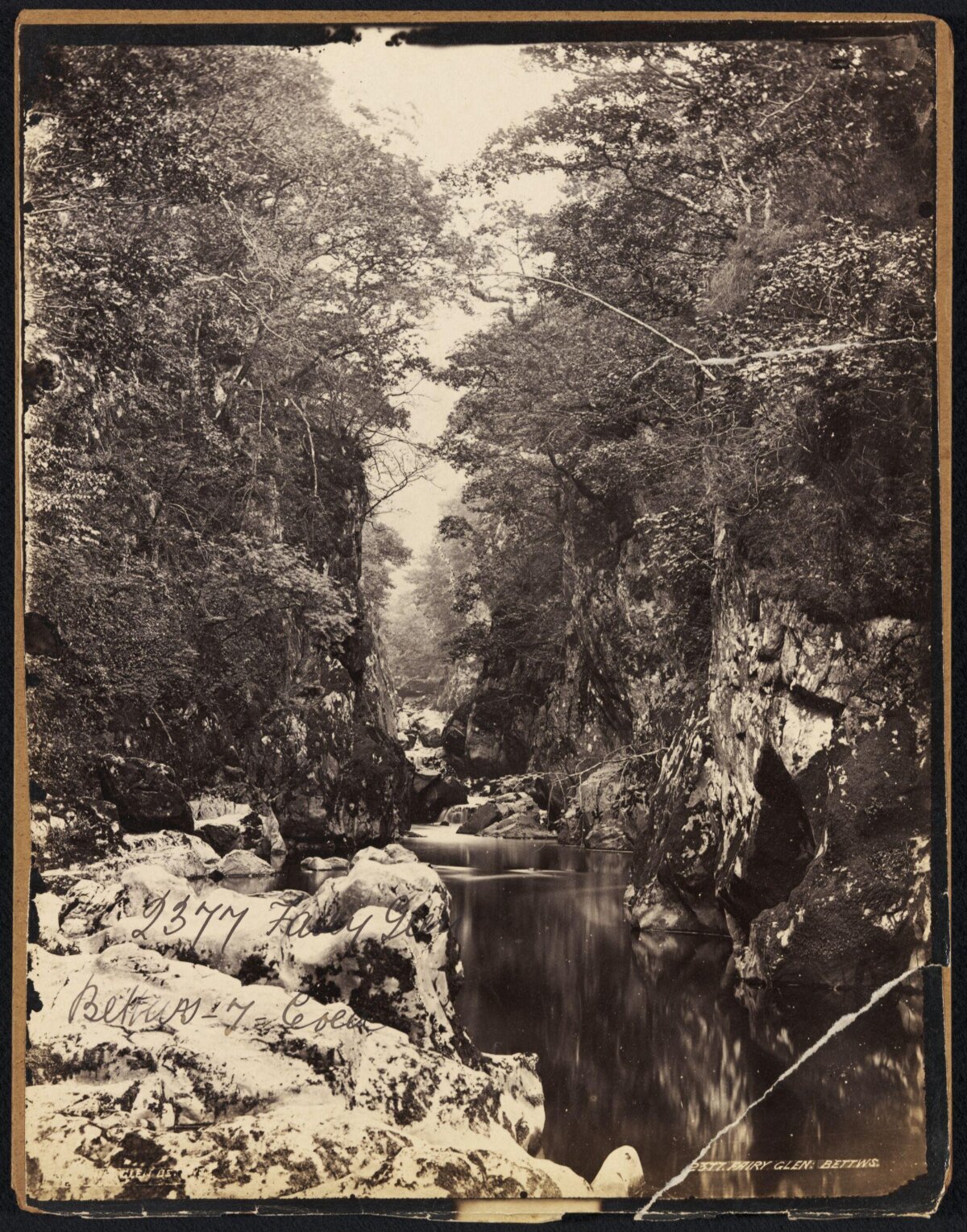 Fairy Glen Bettws River Gorge