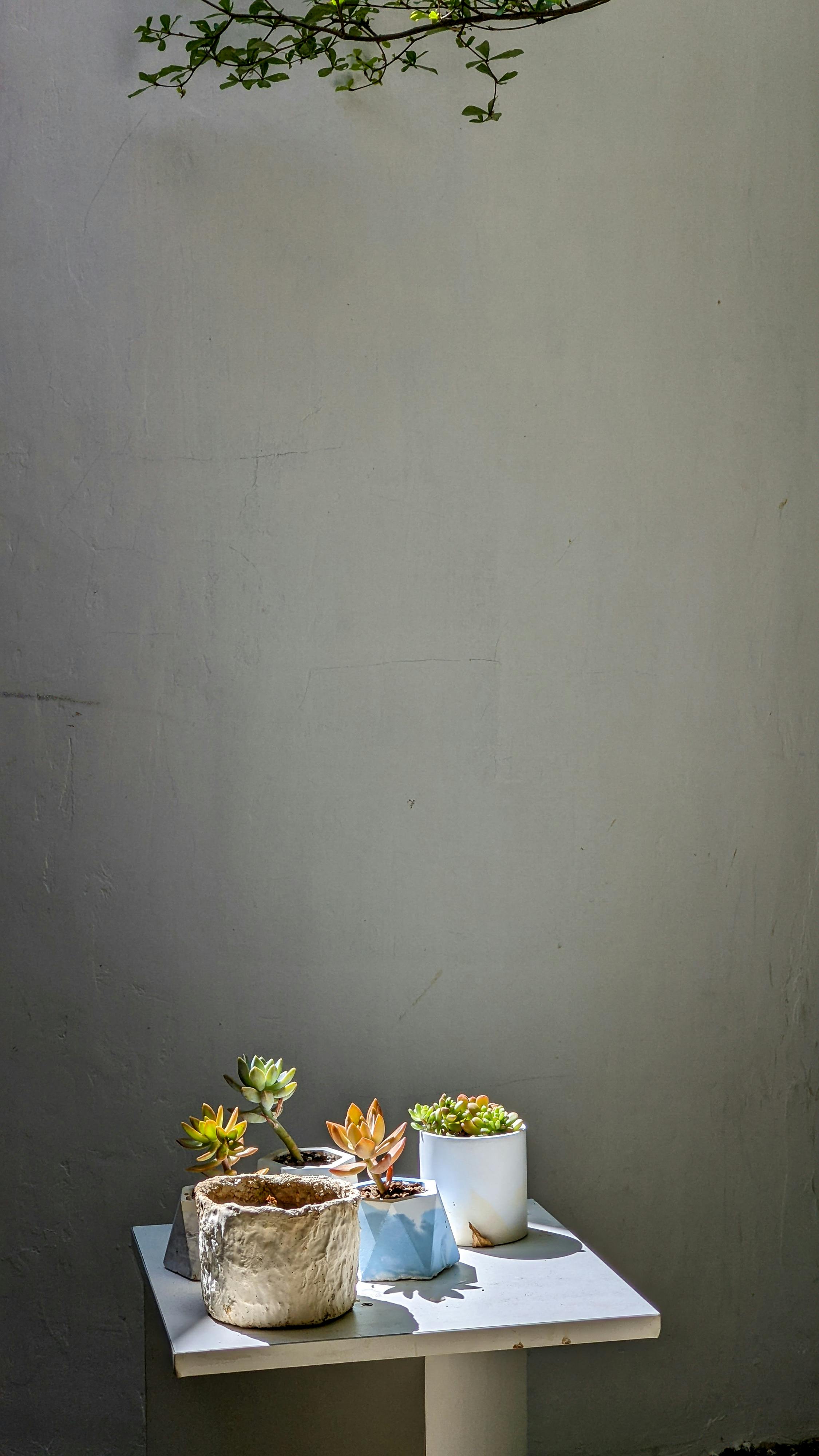 Image 1622079 — Art