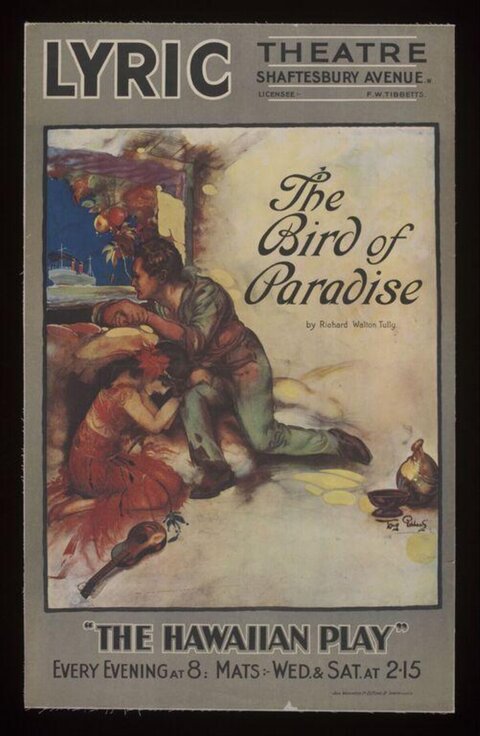 The Bird of Paradise Play Poster