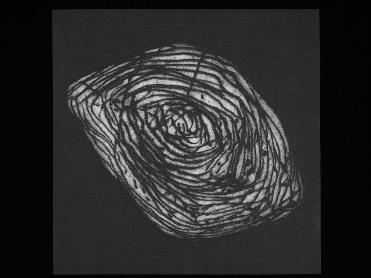 Black and White Tree Ring Drawing