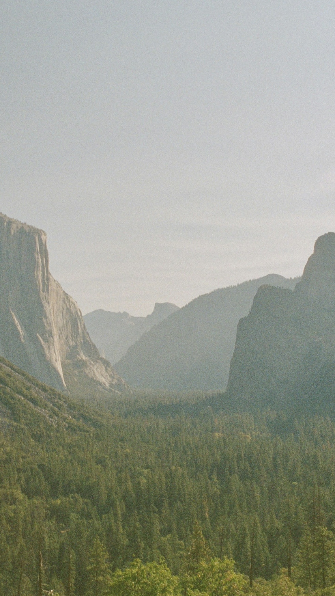 Landscapes