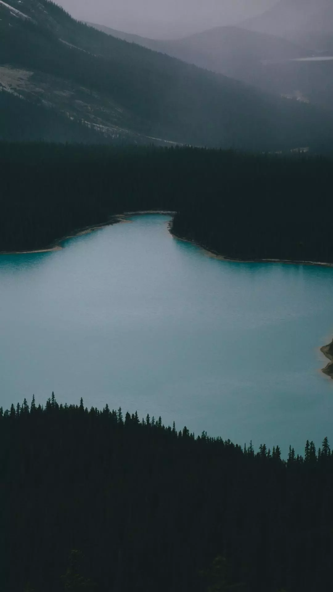 Landscapes