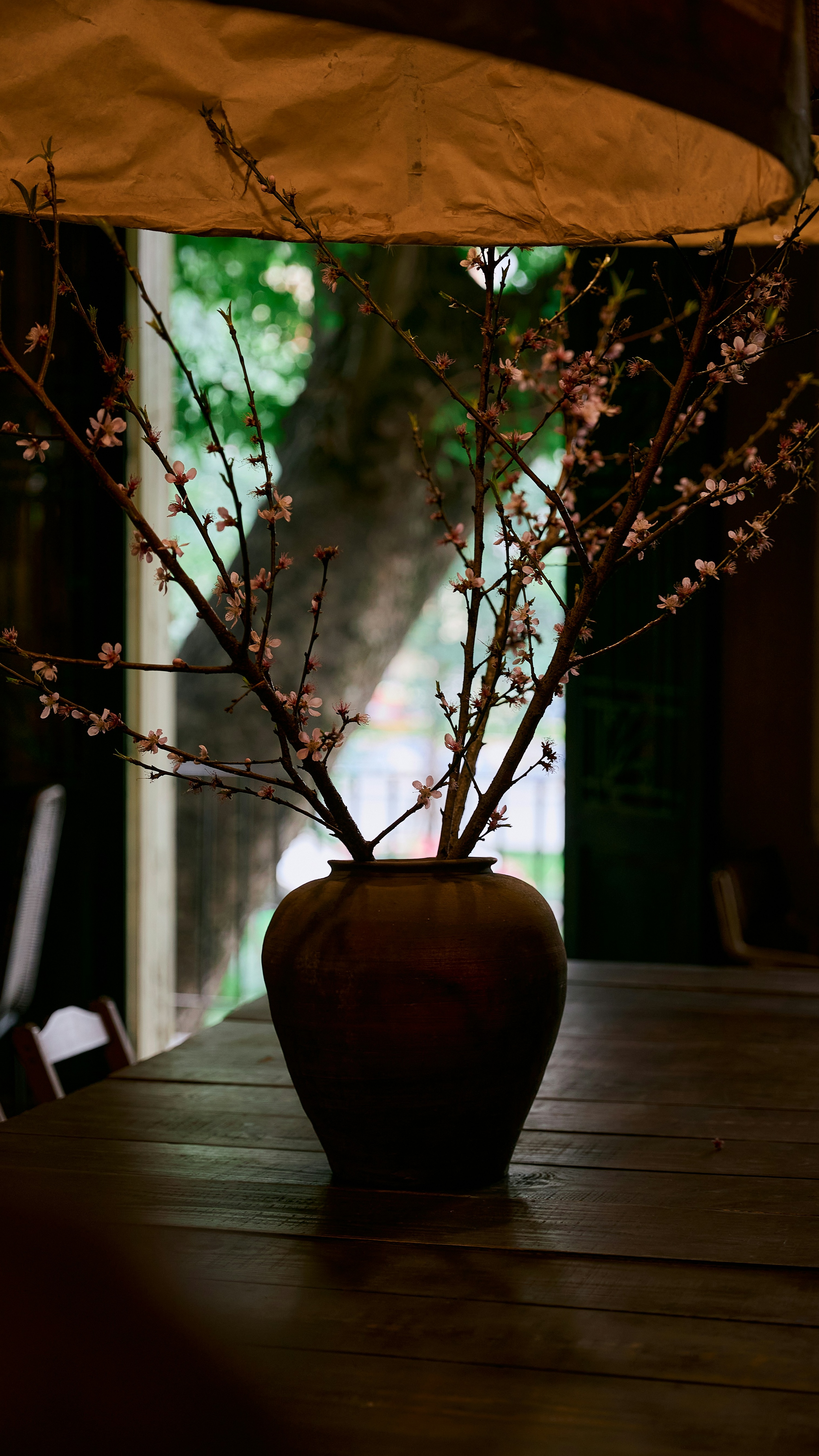 Blooming Branches in Earthen Vase