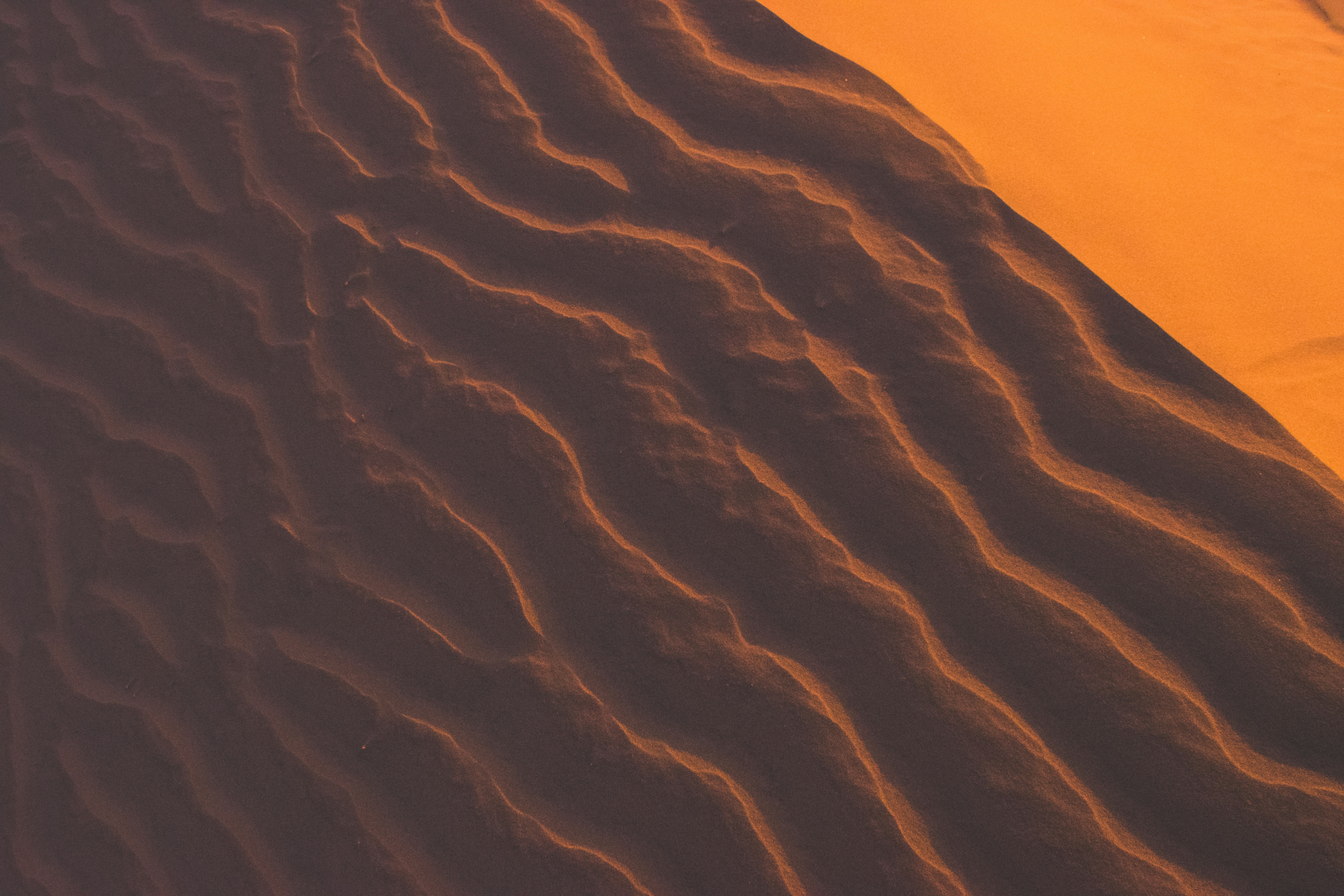 Rippled Desert Sand Dunes