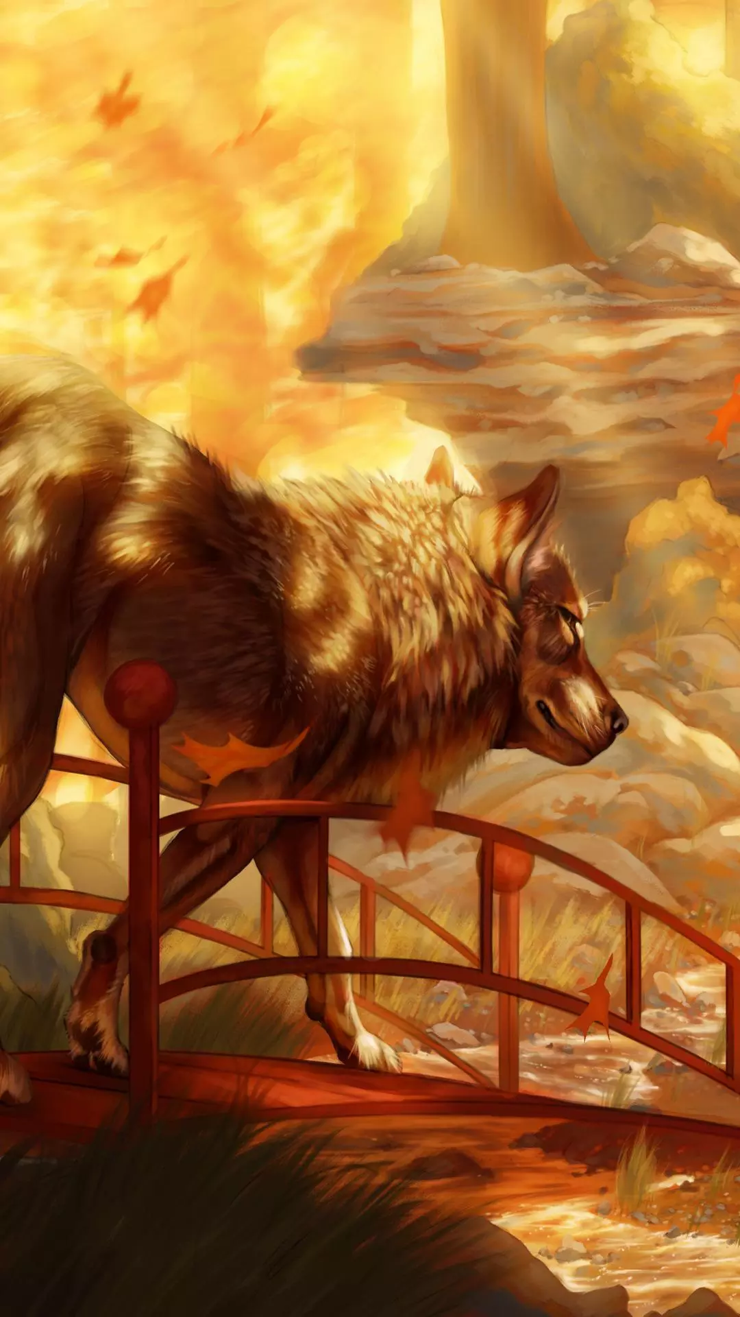 Wallpapers