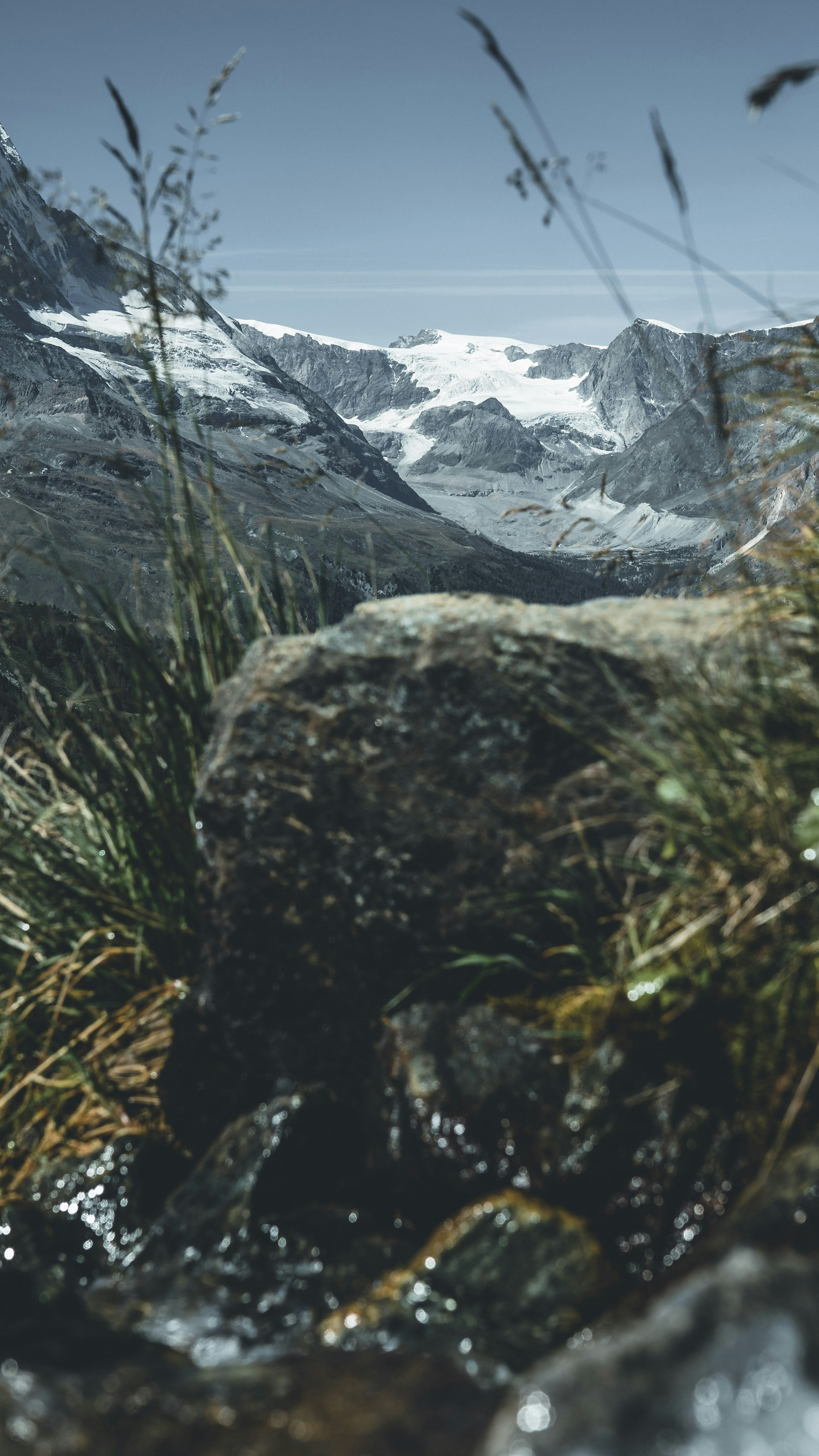 Wallpapers