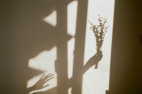 Shadows of Hands Holding Bouquet on Wall