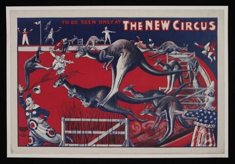 Vintage New Circus Kangaroo Act Poster