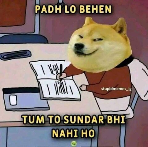 Desi Doge Study Meme