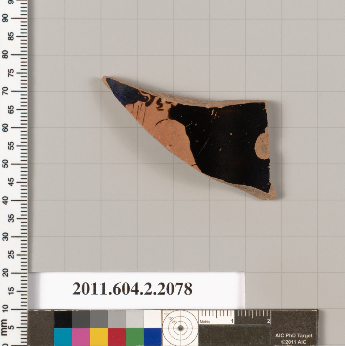 Ancient Pottery Fragment Artifact