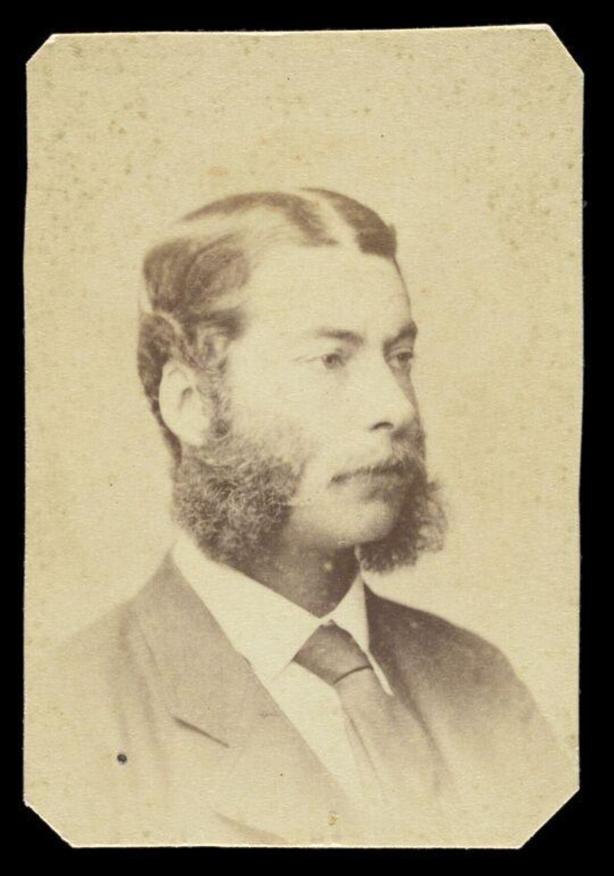 Vintage Portrait of 19th Century Man