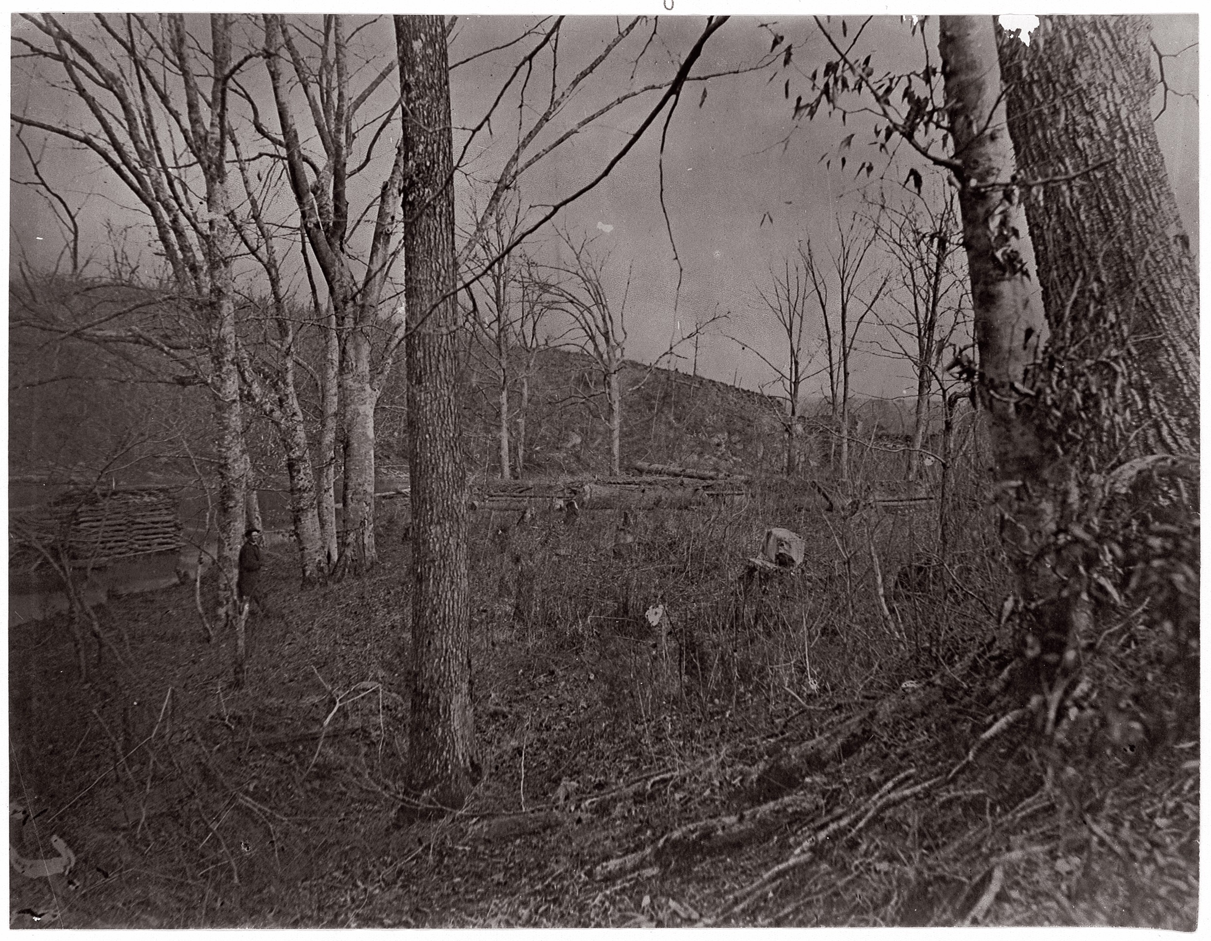Old Winter Wooded Landscape