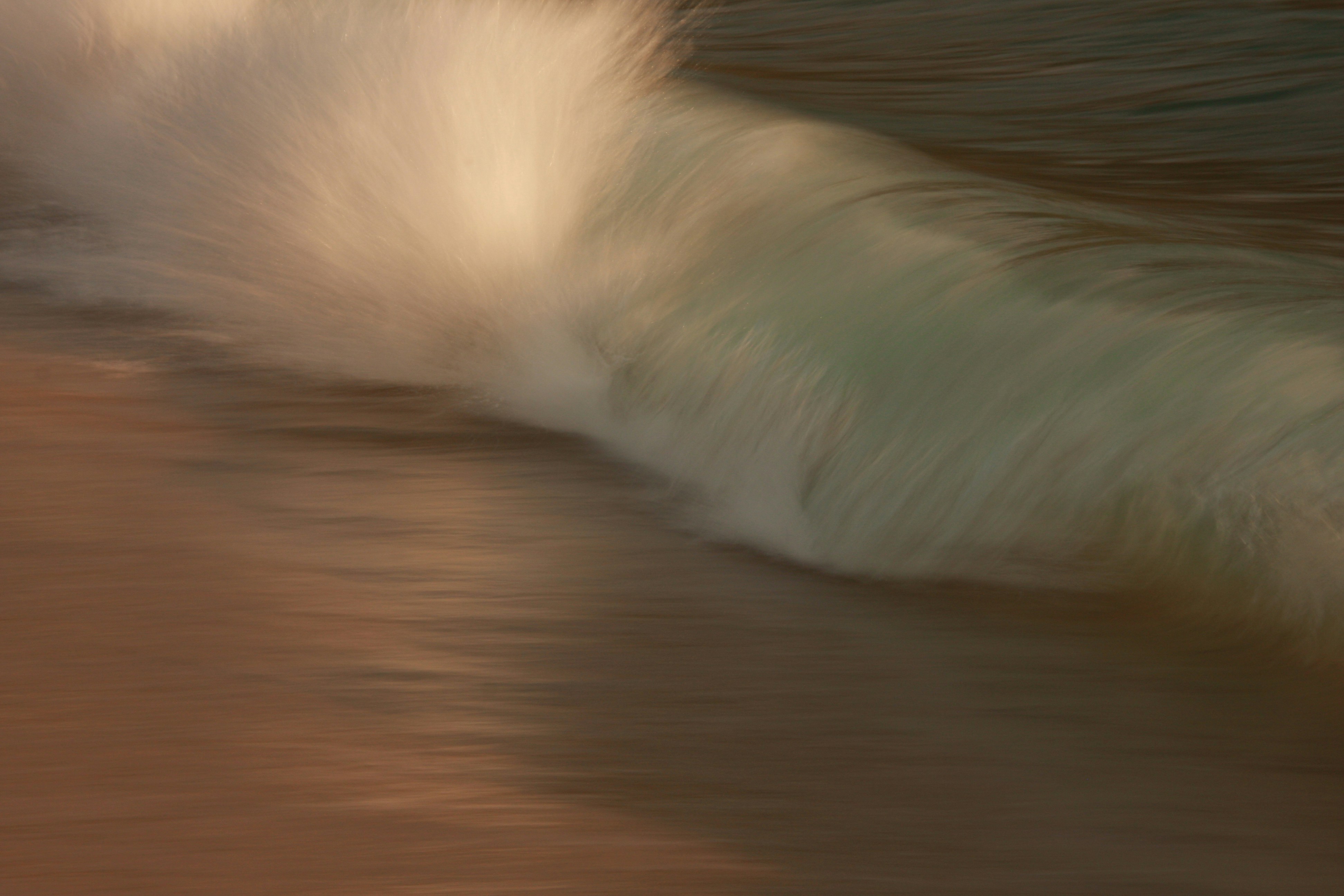 Golden Sunlit Breaking Wave
