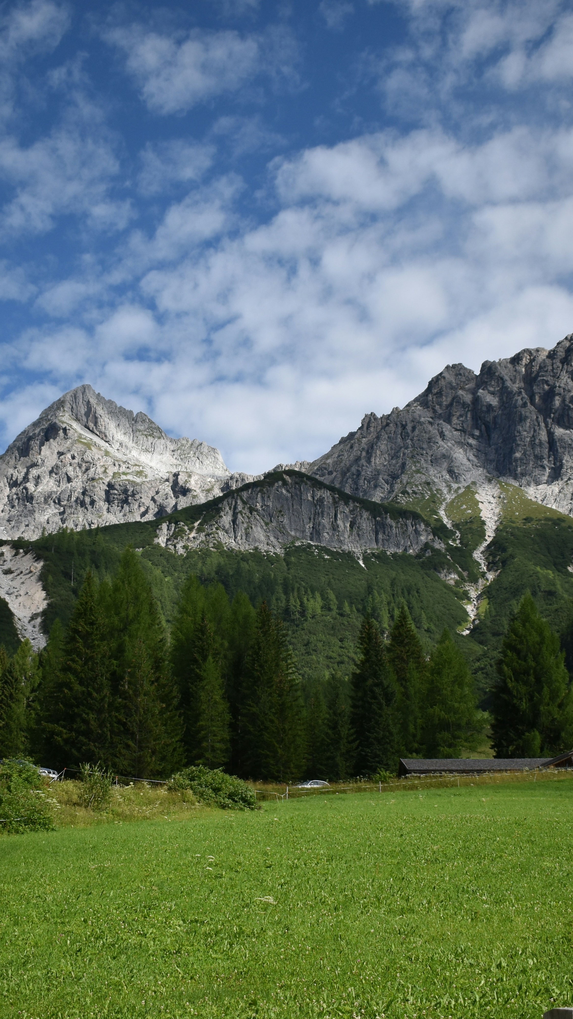 Alpine Mountain Meadow Landscape