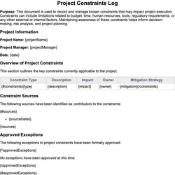 Project Constraints Log