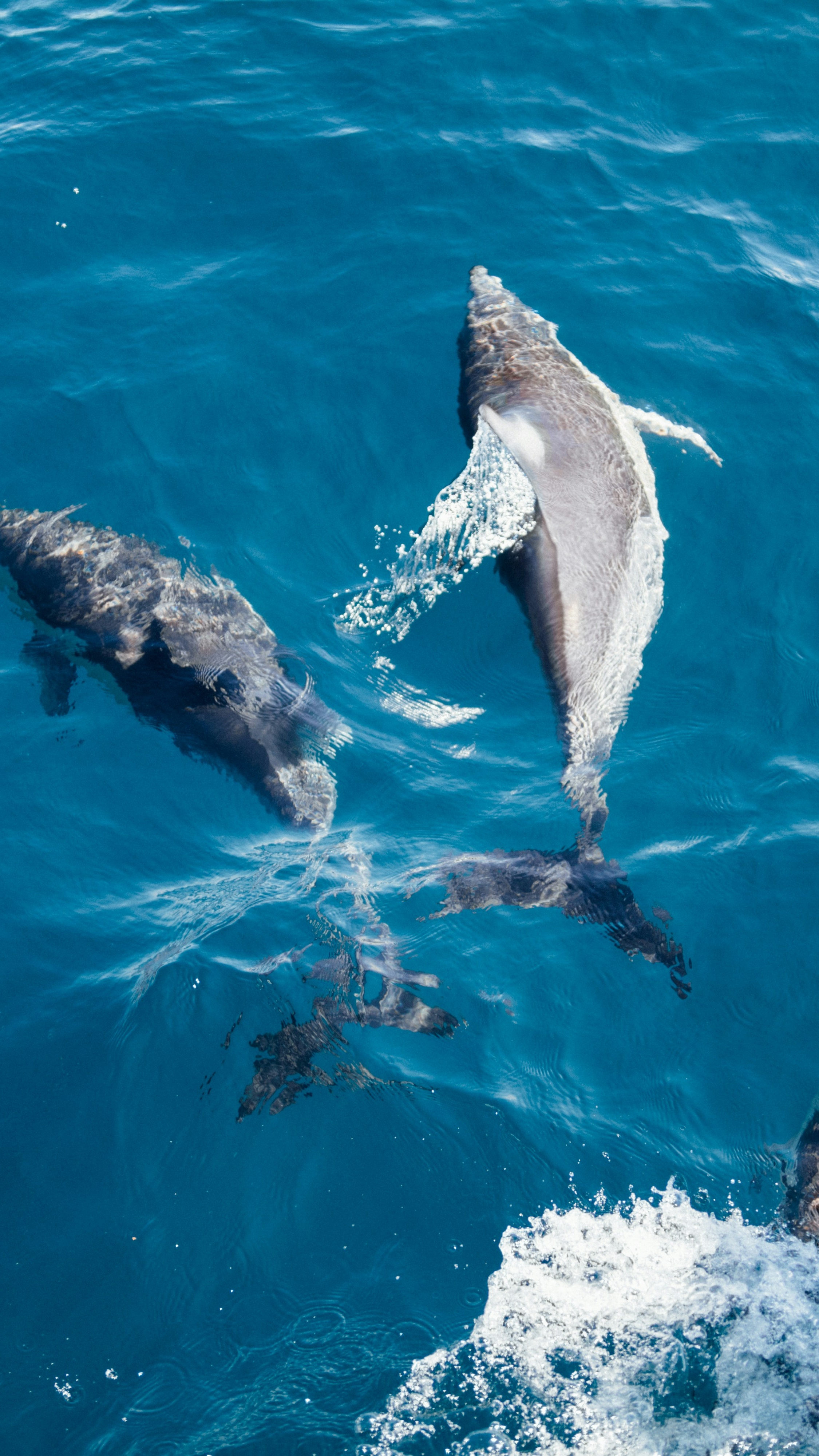 Ocean World