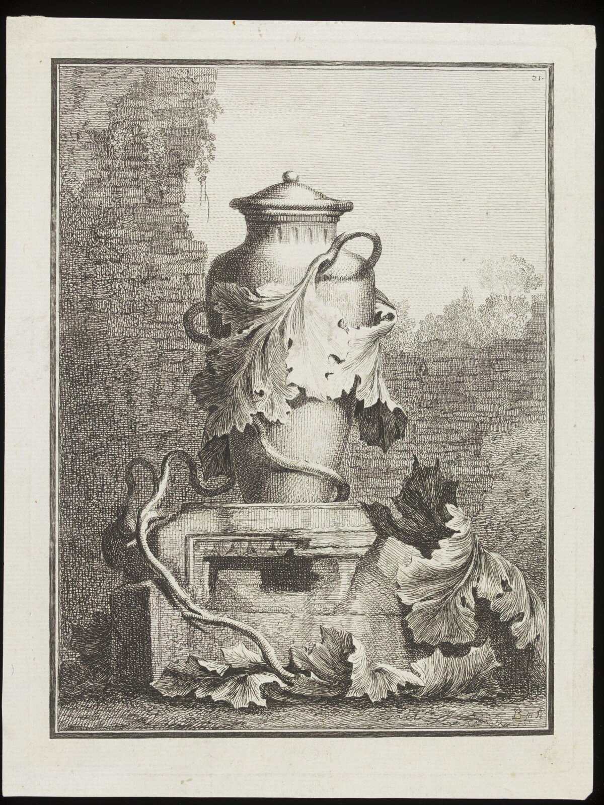 Still Life Etching of Decorative Urn