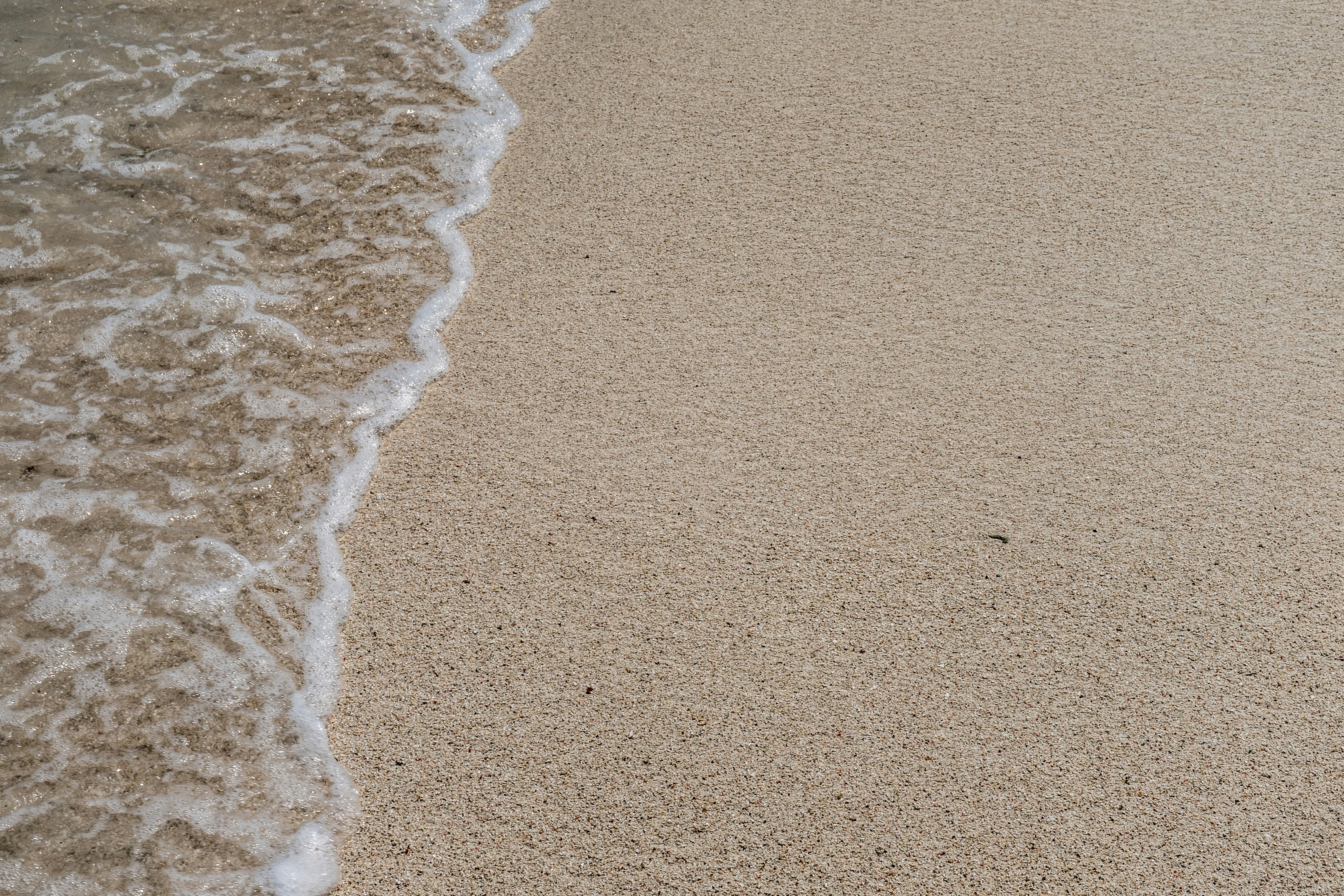 Gentle Wave on Sandy Beach