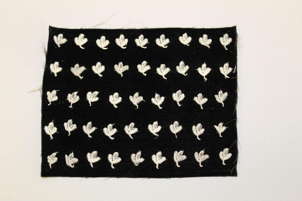 Black Velvet With Leaf Lace Embroidery