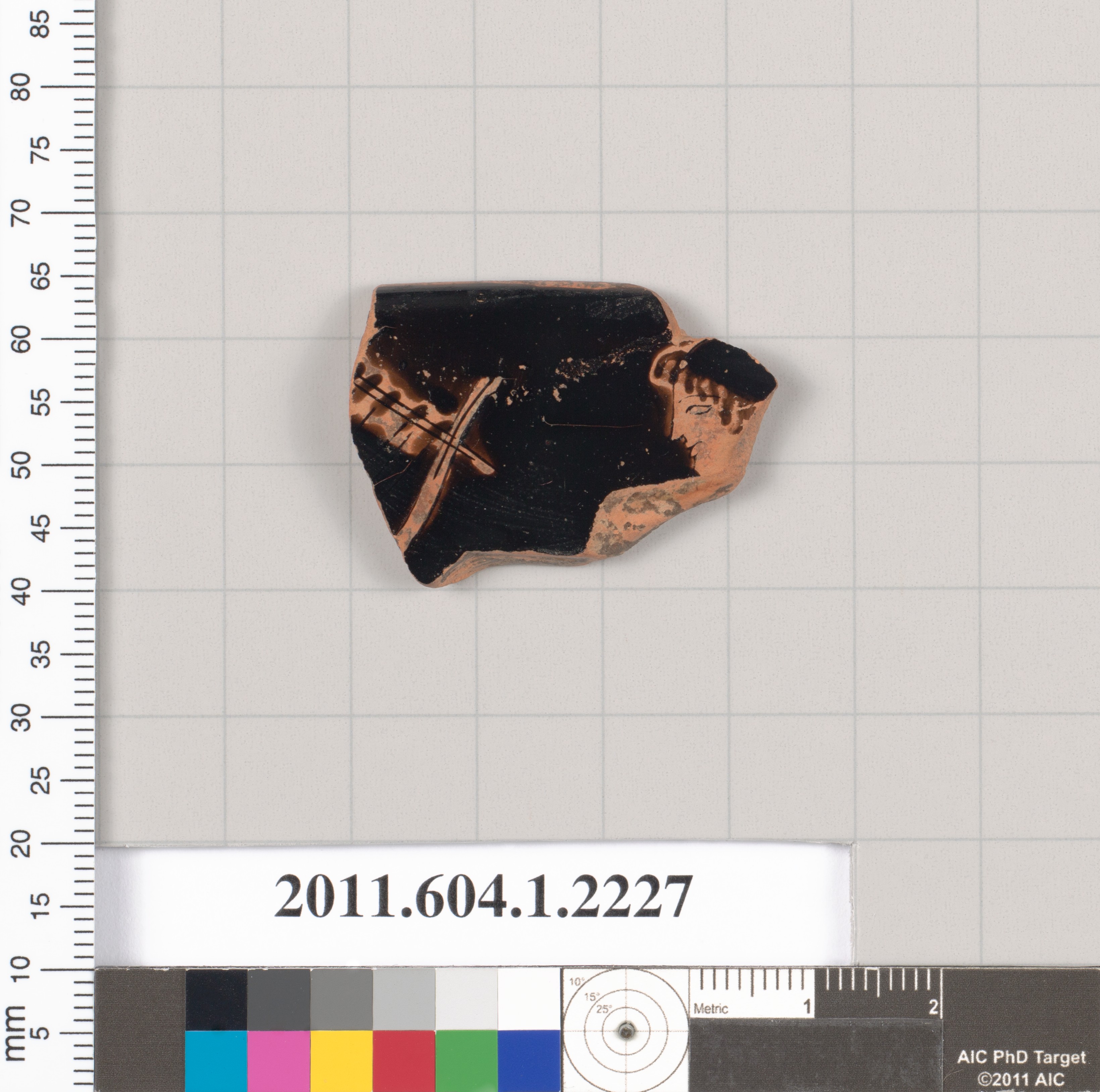 Painted Ancient Pottery Fragment