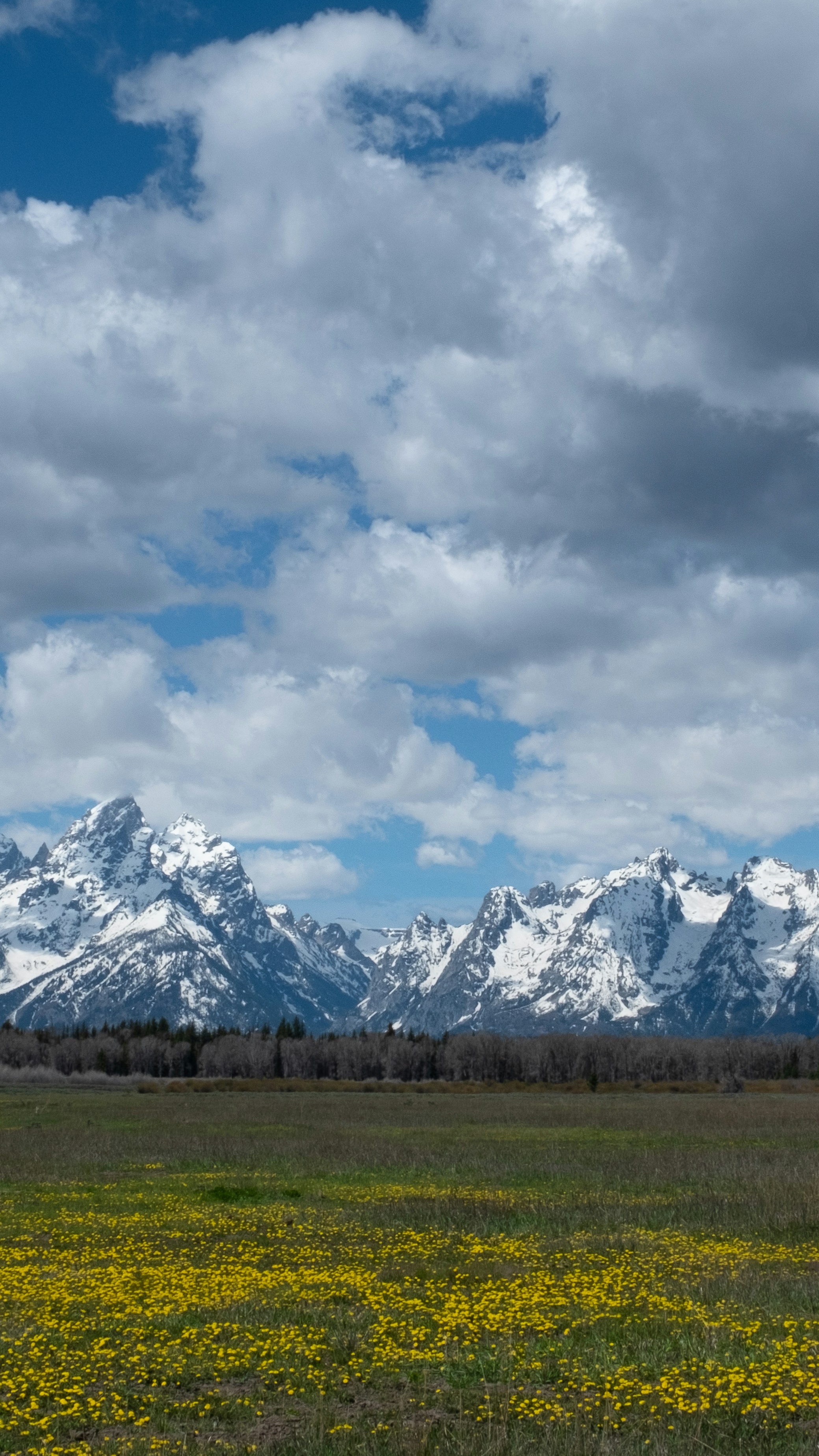 Snow-capped Teton Mountain Landscape