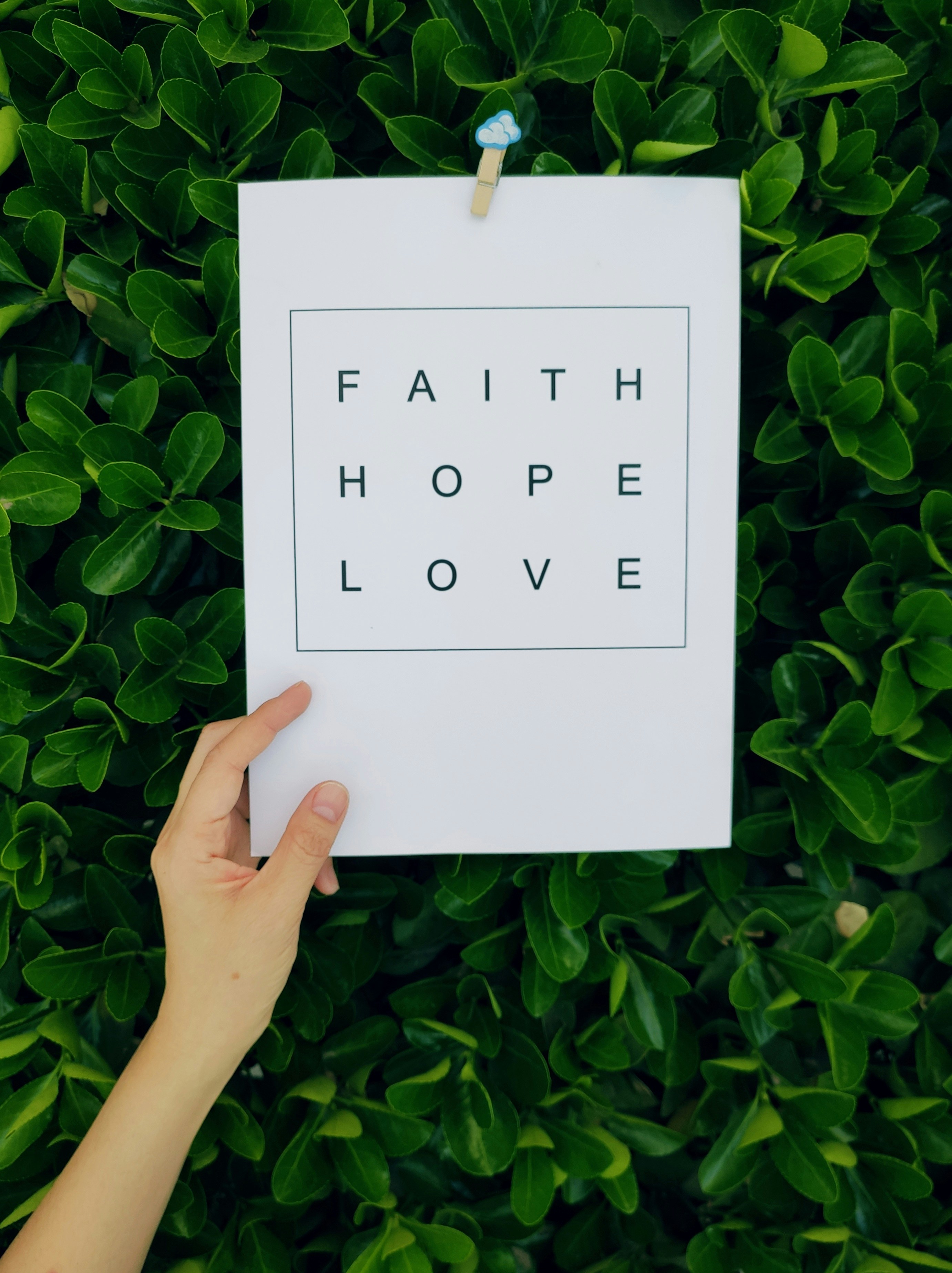 Faith Hope Love Print on Green Foliage