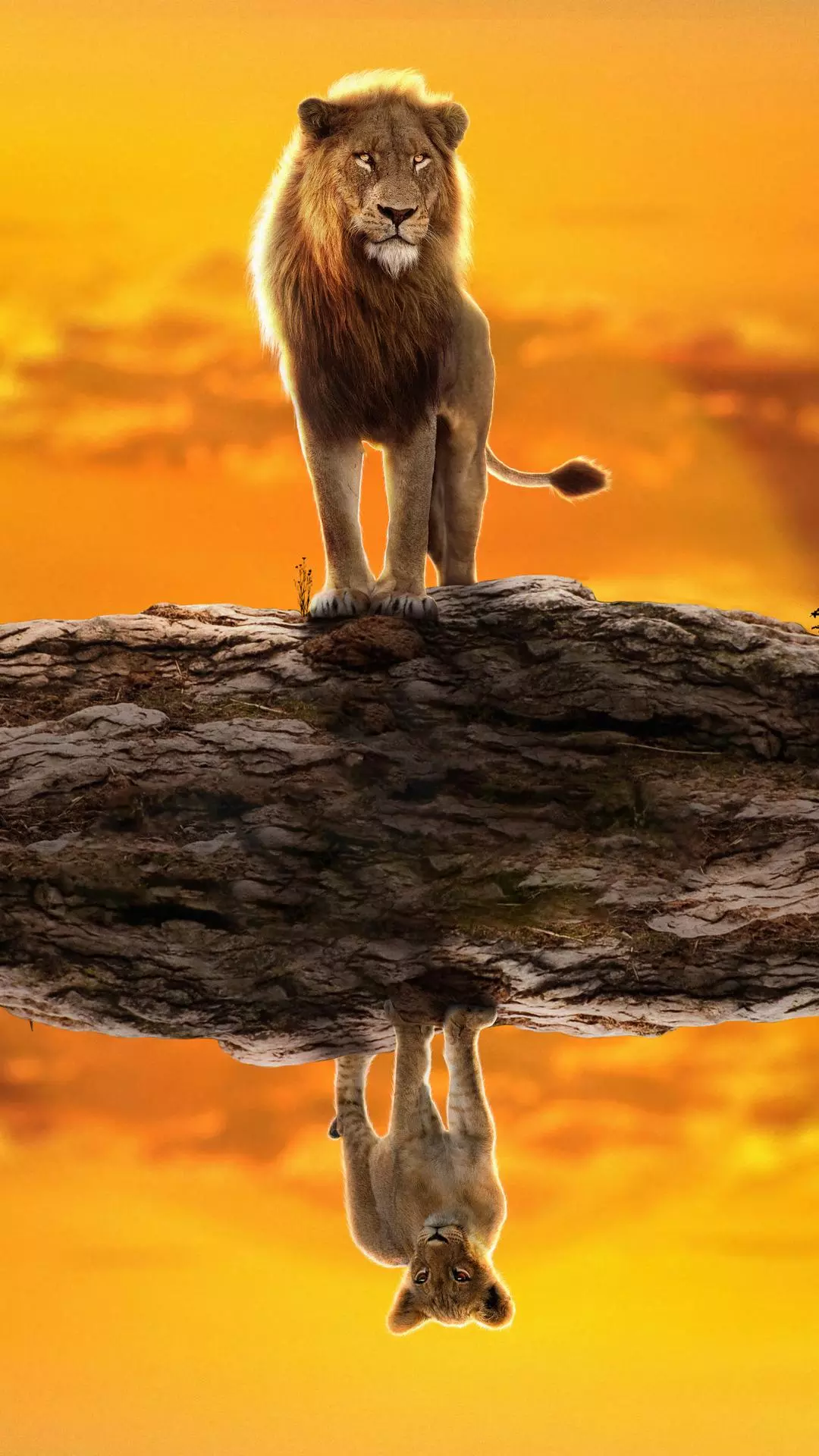 Wallpapers