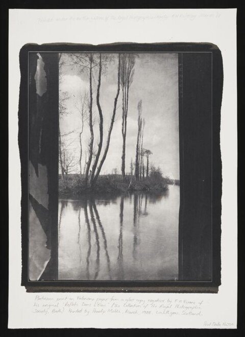 Black and White River Tree Reflections