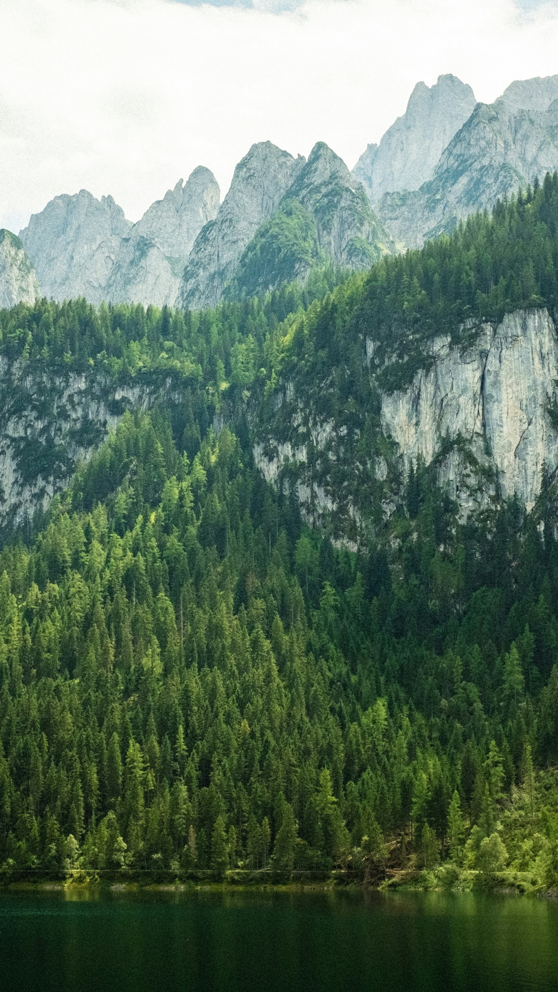 Wallpapers