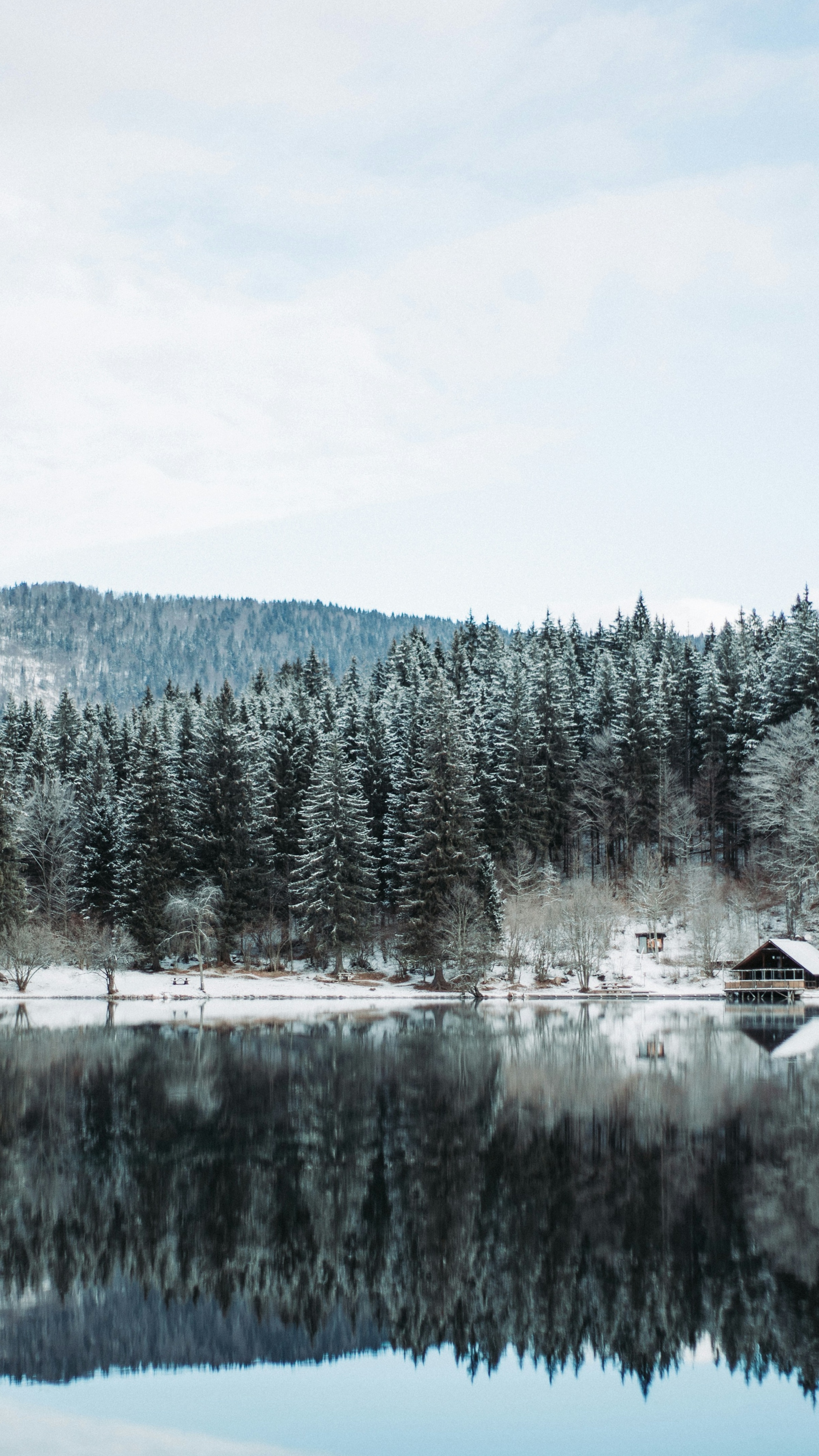 Landscapes