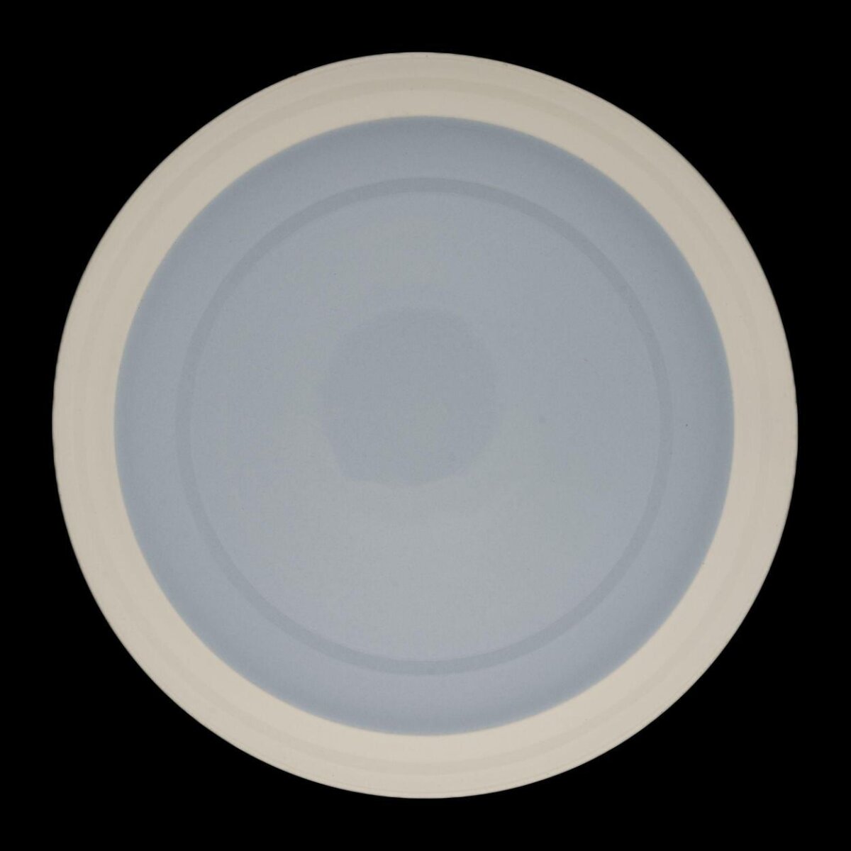 Light Blue and White Ceramic Plate